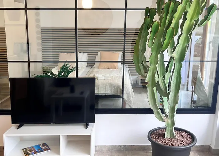 Cactus Apartment
