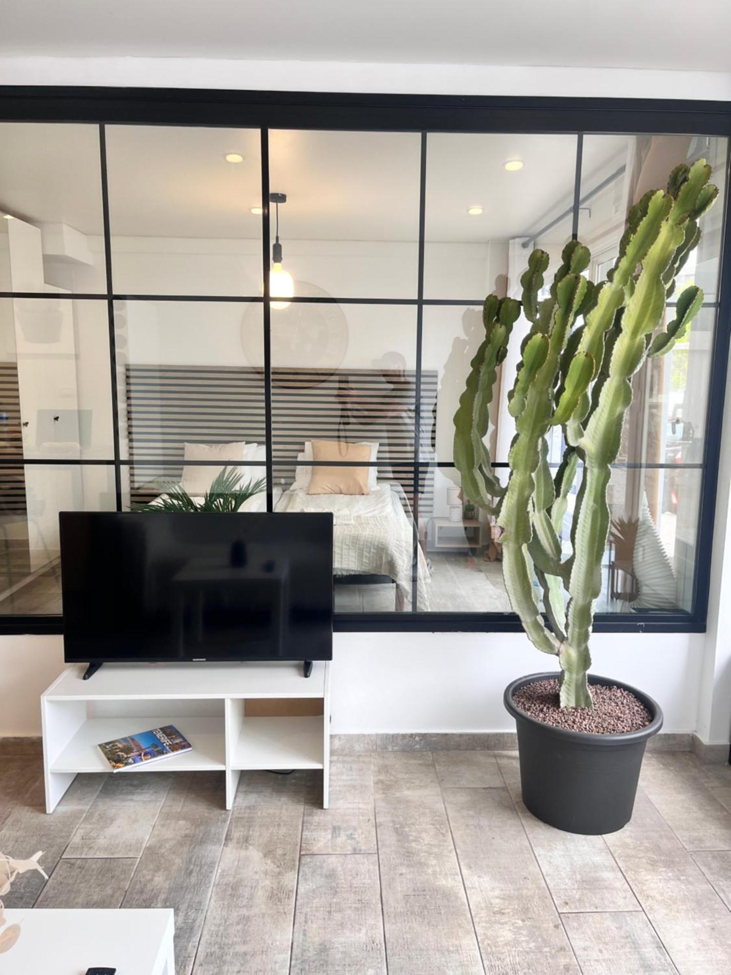 Apartment Cactus *
