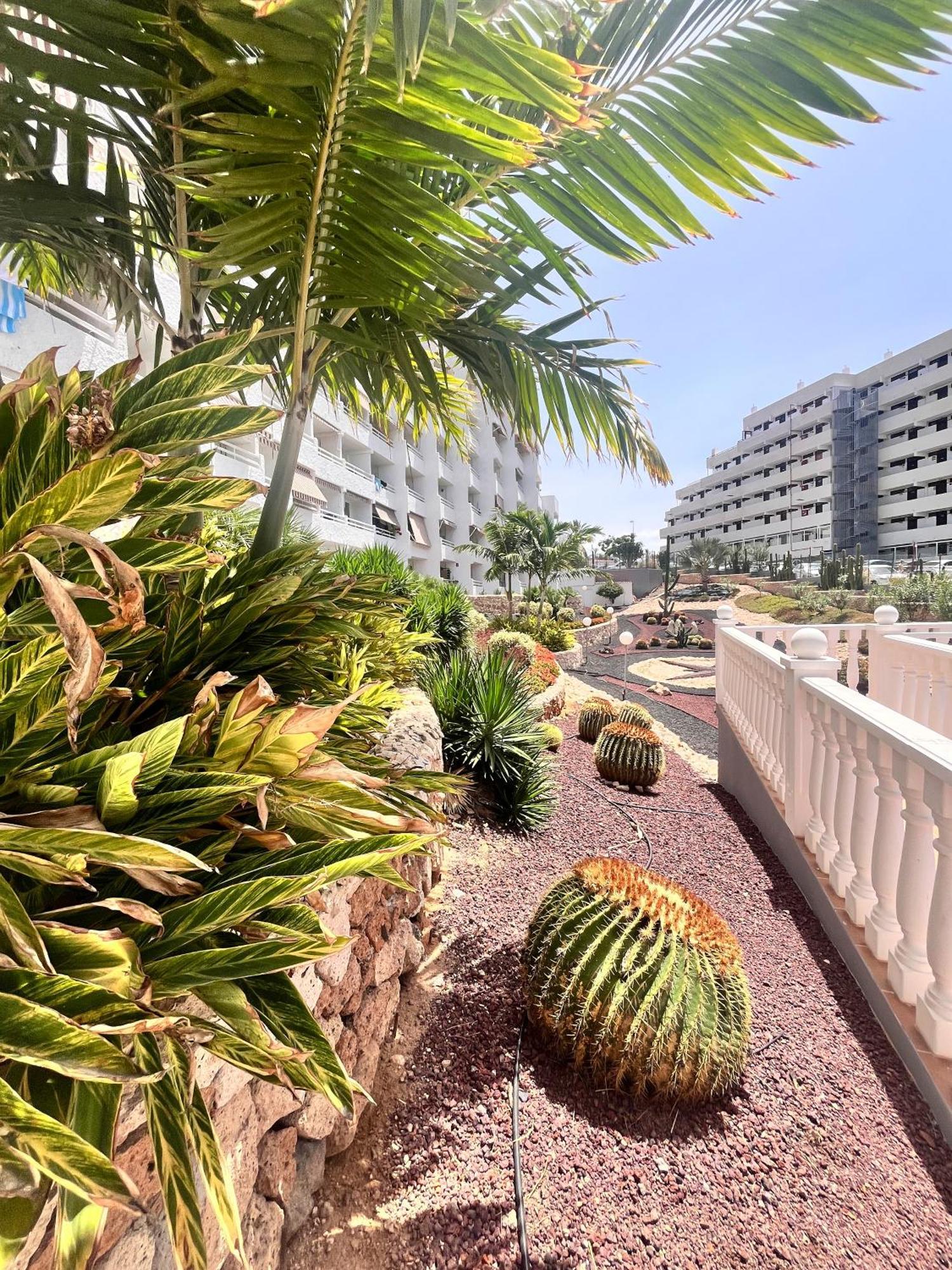 Apartment Cactus *