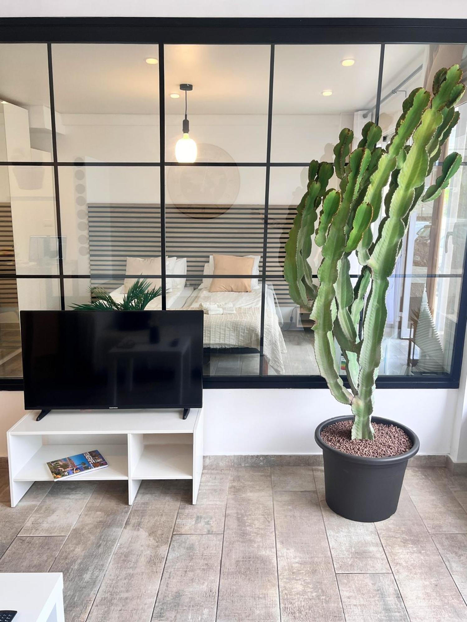Appartamento Cactus *